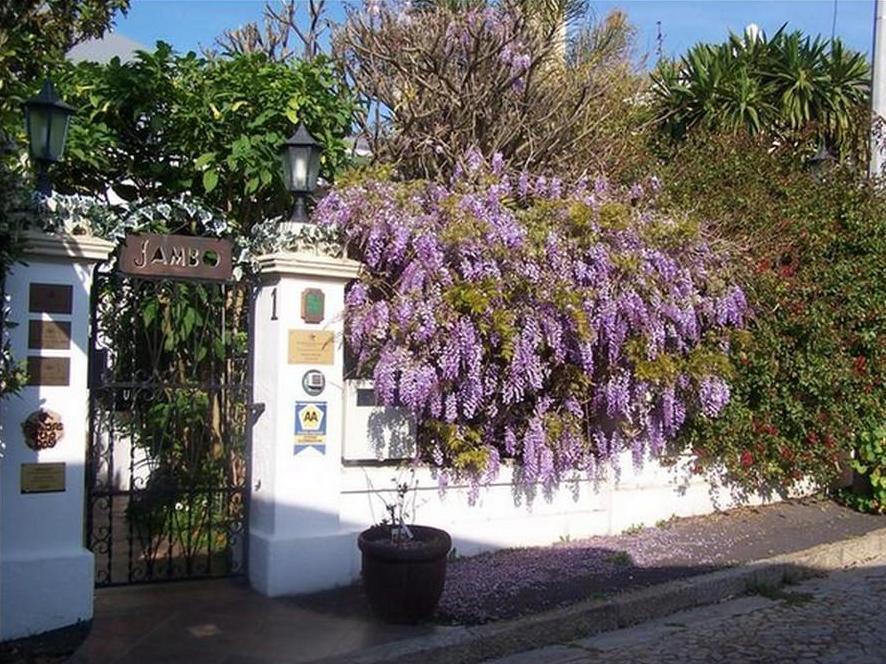 Jambo Guest House Κέιπ Τάουν Εξωτερικό φωτογραφία