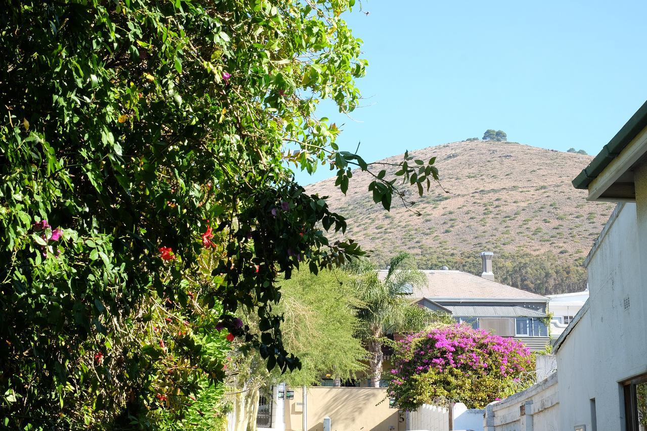 Jambo Guest House Κέιπ Τάουν Εξωτερικό φωτογραφία